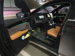 Lexus Tangxin Energy DM-i Champion Edition 112KM Honor Type - фото 12