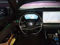 Lexus Tangxin Energy DM-i Champion Edition 112KM Honor Type - фото 6