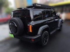 Tank 300 2021 Off-Road Version 2.0T Conqueror - фото 4