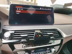 BMW 5 Series Facelift II 530Li Luxury M Sport Package - фото 9