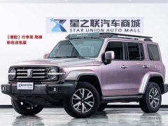 Tank 300 2021 City Edition 2.0T Very Stylish - фото 1