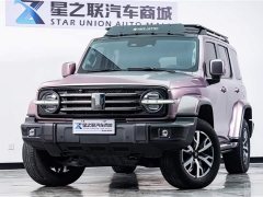 Tank 300 2021 City Edition 2.0T Very Stylish - фото 2