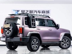 Tank 300 2021 City Edition 2.0T Very Stylish - фото 6
