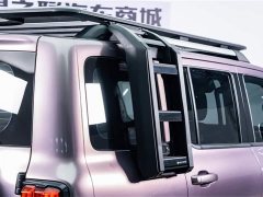 Tank 300 2021 City Edition 2.0T Very Stylish - фото 9