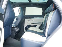 BYD Song PLUS New Energy 2021 DM-i 110KM flagship - фото 5