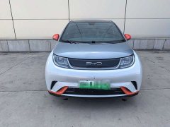 BYD Dolphin 2021 405km fashion version - фото 2