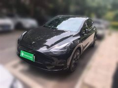 Tesla Model Y long-range all-wheel drive version - фото 1