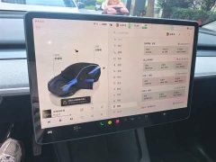 Tesla Model Y long-range all-wheel drive version - фото 7