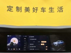 Hongqi E-HS9 660km flag collar version four seats - фото 19