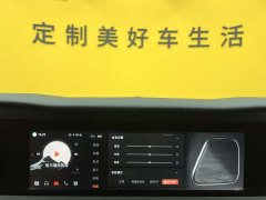 Hongqi E-HS9 660km Qichang version six seats - фото 18