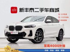 BMW X4 xDrive25i M Sport Package - фото 1
