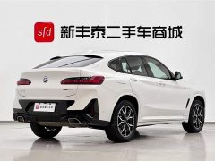 BMW X4 xDrive25i M Sport Package - фото 5