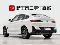 BMW X4 xDrive25i M Sport Package - фото 6
