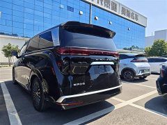 Denza D9 DM-i 980 four-wheel drive premium - фото 6