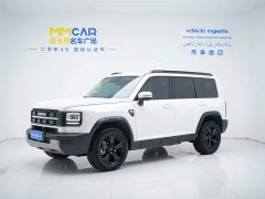 Haval Raptor New Energy 2026 Hi4 105 Pro Lithium Iron Phosphate - фото 1