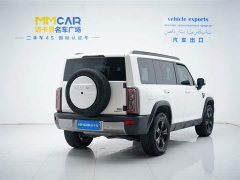 Haval Raptor New Energy 2026 Hi4 105 Pro Lithium Iron Phosphate - фото 3
