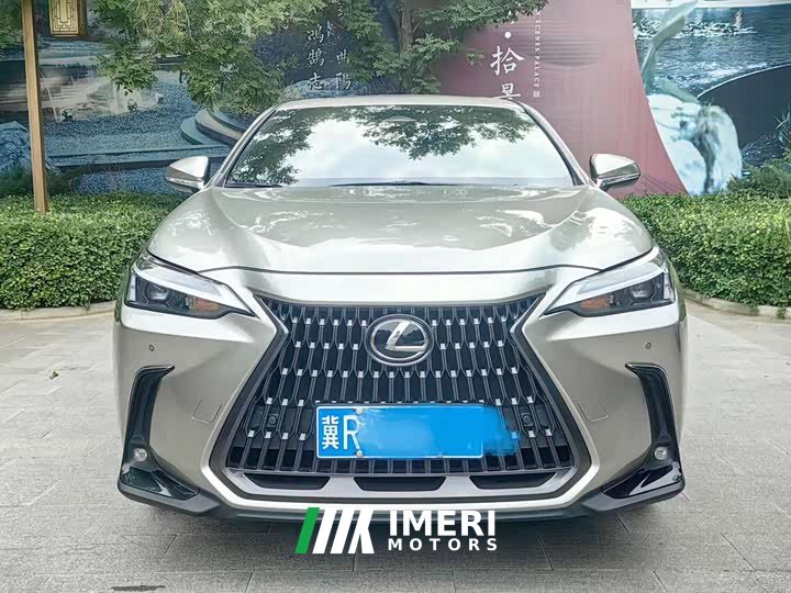 Lexus NX 260 front-wheel drive Chuangyue Edition - автомобиль из Китая