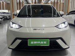 BYD Seagull Free Edition - фото 2