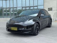 Tesla Model Y standard range rear-wheel drive version - фото 1