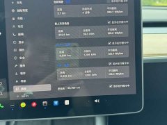 Tesla Model Y standard range rear-wheel drive version - фото 11