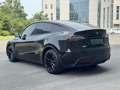 Tesla Model Y standard range rear-wheel drive version - фото 6