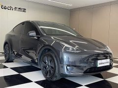 Tesla Model Y rear-wheel drive version - фото 2