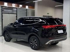 Haval H6 2021 Guochao Edition 1.5T Automatic Urban Edition - фото 19