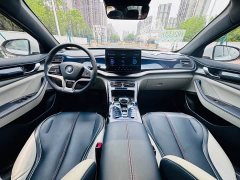 BYD Qin PLUS Champion Edition EV 420KM Leading - фото 14