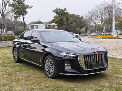 Hongqi H5 2023 1.5T DCT Zhilian Qiyue Edition - фото 3