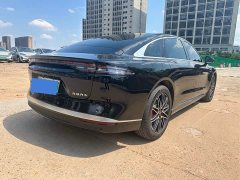 Lexus Fengyun A9L 260 long battery life luxury version - фото 4