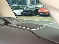 Land Rover Range Rover 2021 3.0 L6 Legend Extended Classic Edition - фото 18