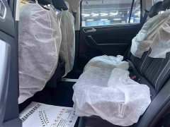 Volkswagen Tiguan L 2025 Outstanding 300TSI Automatic Two-wheel Drive Dragon Edition - фото 16