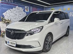 Buick GL8 ES Luzun 653T luxury - фото 1
