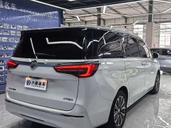 Buick GL8 ES Luzun 653T luxury - фото 4