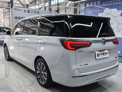 Buick GL8 ES Luzun 653T luxury - фото 6
