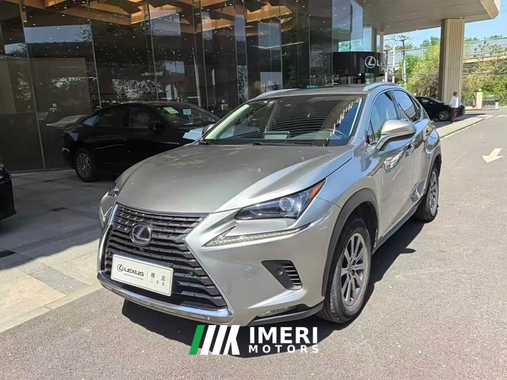 Lexus NX 2020 200 AWD Feng Shang Edition National V - автомобиль из Китая