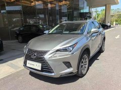 Lexus NX 2020 200 AWD Feng Shang Edition National V - фото 1