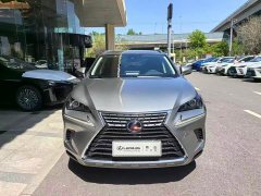 Lexus NX 2020 200 AWD Feng Shang Edition National V - фото 2
