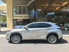 Lexus NX 2020 200 AWD Feng Shang Edition National V - фото 3