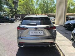 Lexus NX 2020 200 AWD Feng Shang Edition National V - фото 7