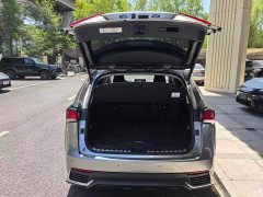 Lexus NX 2020 200 AWD Feng Shang Edition National V - фото 8