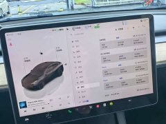 Tesla Model Y 2022 rear-wheel drive version - фото 13