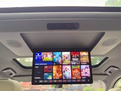 Li Auto Ideal L9 Max - фото 19