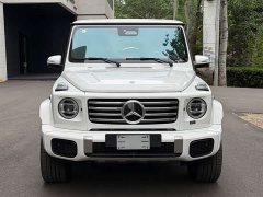 Mercedes-Benz G-Class G 450 d - фото 1