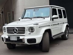 Mercedes-Benz G-Class G 450 d - фото 2