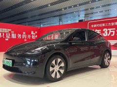Tesla Model Y rear-wheel drive version - фото 1