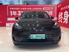 Tesla Model Y rear-wheel drive version - фото 2