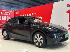 Tesla Model Y rear-wheel drive version - фото 3