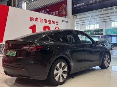 Tesla Model Y rear-wheel drive version - фото 4