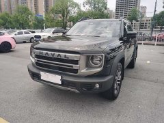 Haval Big Dog 1.5T DCT Border Collie Edition - фото 1